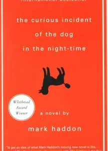 THE CURIOUS INCIDENT OF THE DOG IN THE NIGHT TIME BY MARK HADDON